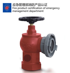 SNJ65-Y室内消火栓